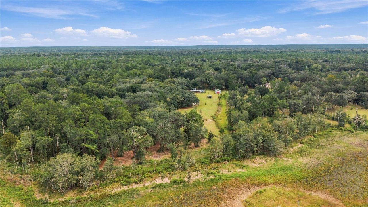 14468 NE 150th Avenue, Fort Mc Coy, FL 32134 Photo