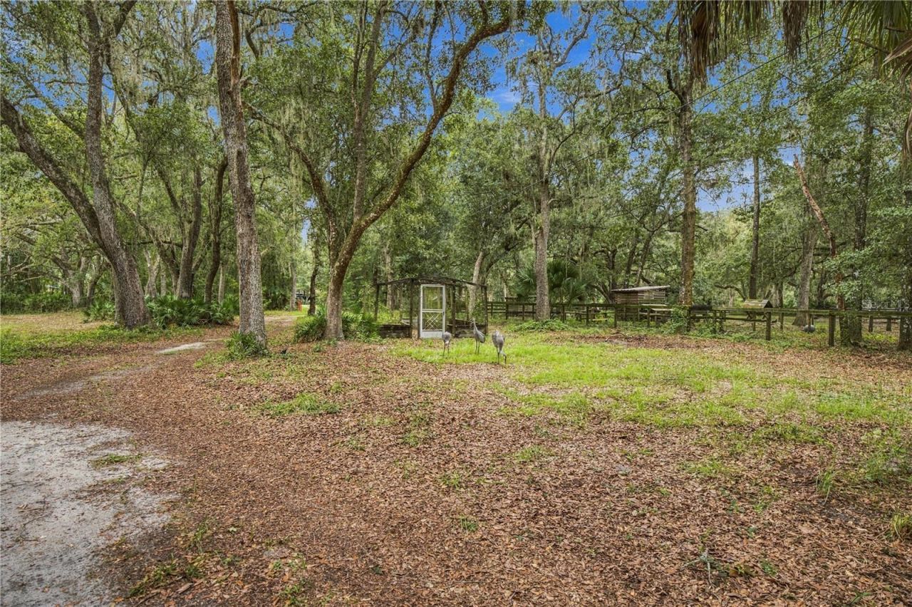 14468 NE 150th Avenue, Fort Mc Coy, FL 32134 Photo