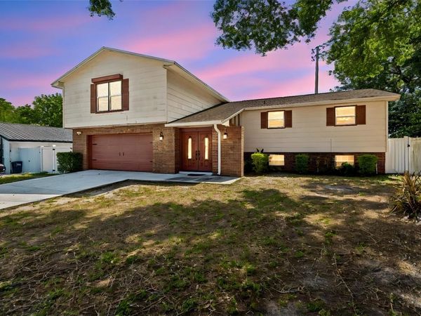 2620 GIANT PLACE , SEFFNER, FL 33584