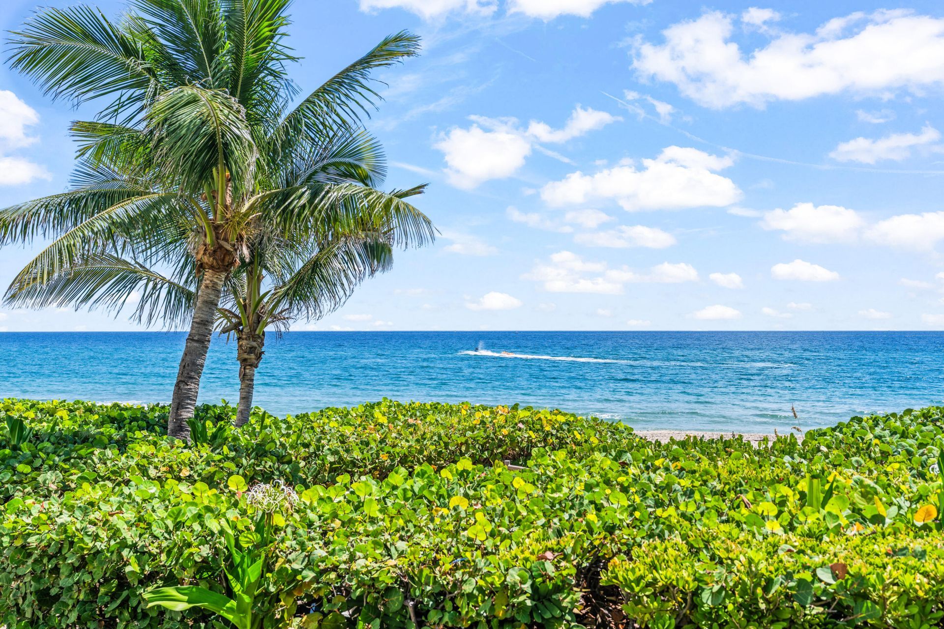 500 S Ocean Boulevard, Unit 603, Boca Raton, FL 33432 Photo