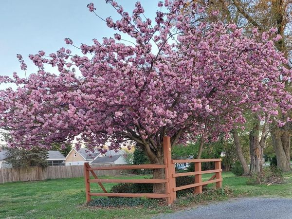 E BOSTON ROAD, PENNSVILLE, NJ 08070