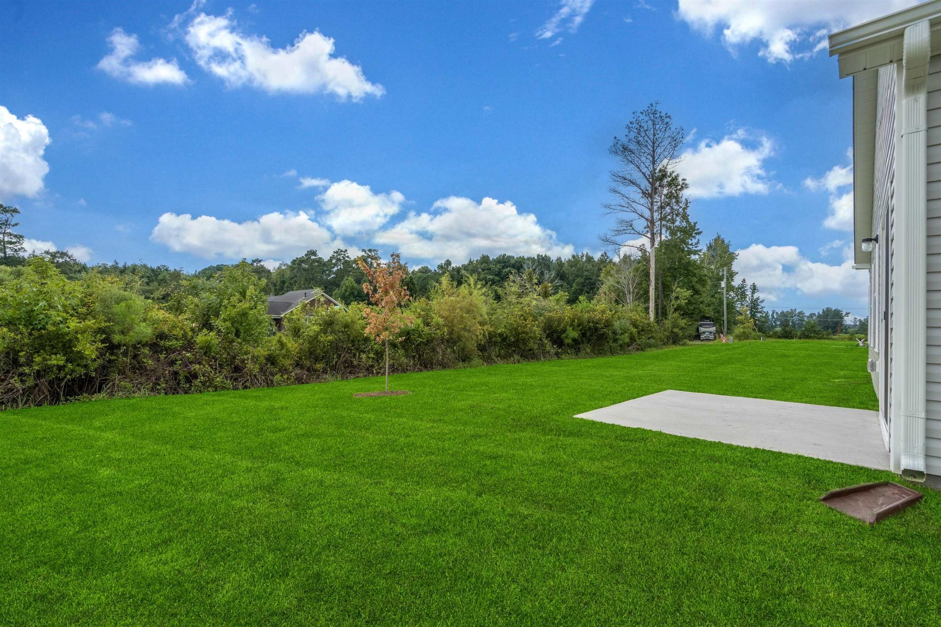 1074 Cherrystone Loop Photo 7