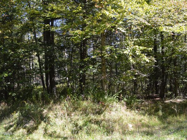Lot 109 Snow Drift Road , Newfoundland, PA 18445