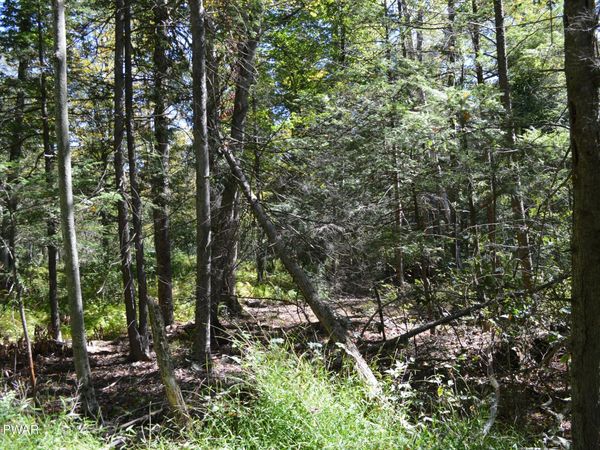 Lot 110 Snow Drift Road , Newfoundland, PA 18445