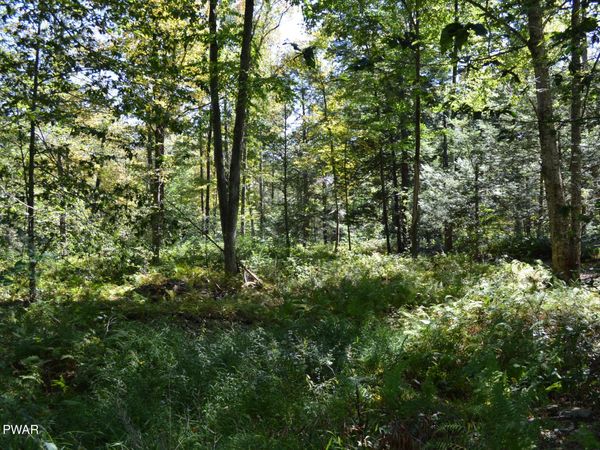 Lot 111 Snow Drift Road , Newfoundland, PA 18445