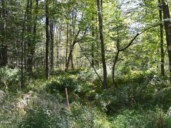 Lot 112 Snow Drift Road , Newfoundland, PA 18445