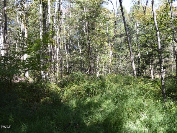 Lot 113 Snow Drift Road , Newfoundland, PA 18445