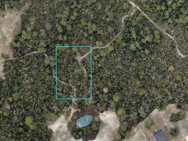 Morgan (Paper) ST , DELTONA, FL 32725