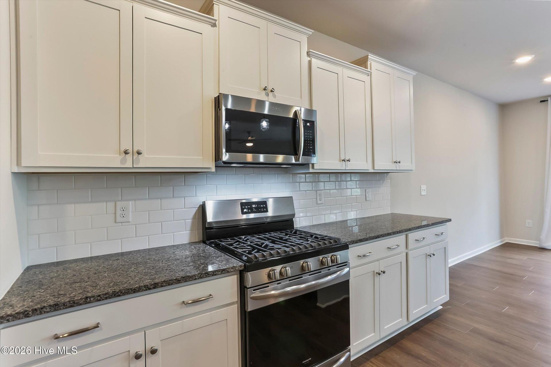152 Southern Lake Court Photo 16