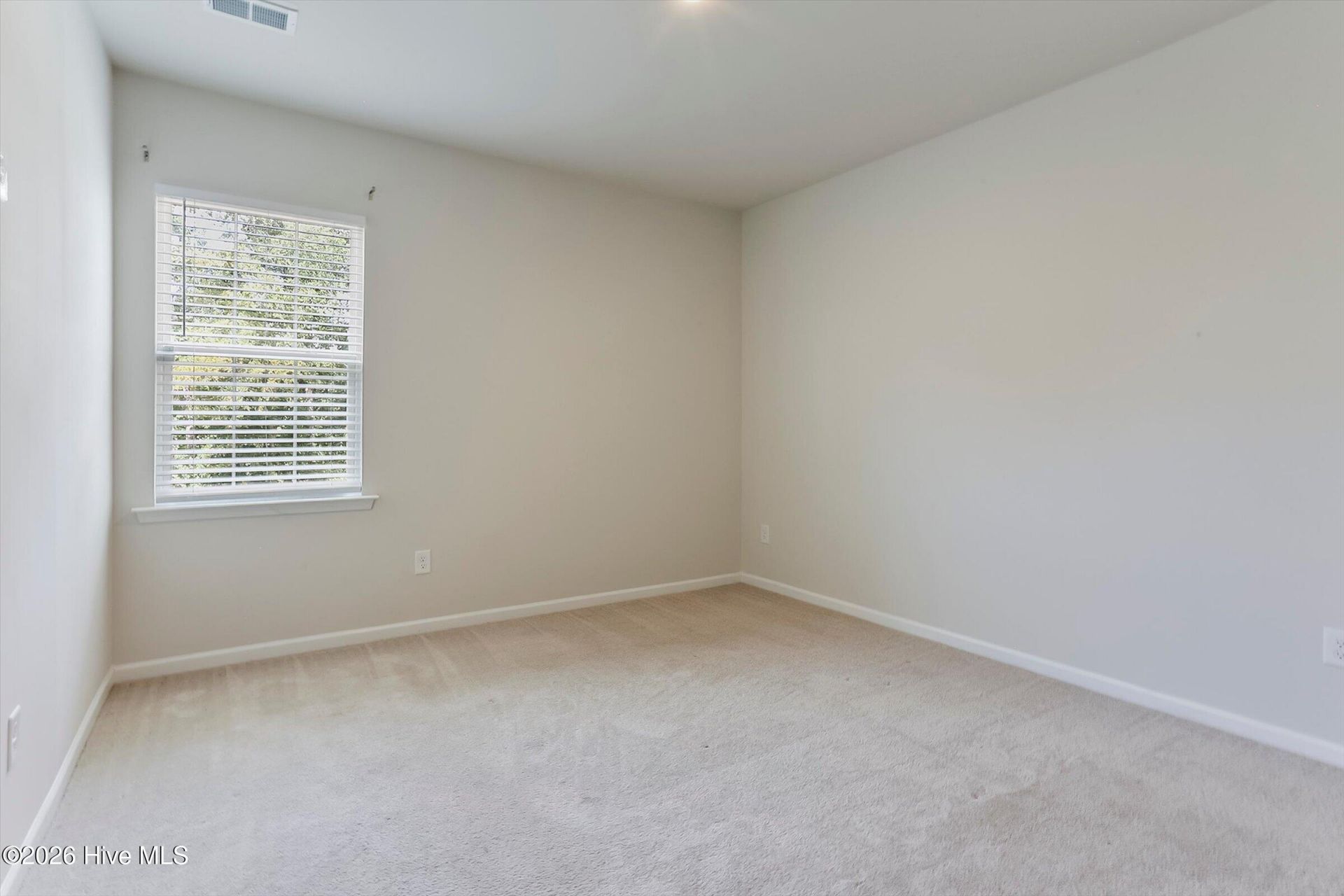 152 Southern Lake Court Photo 27