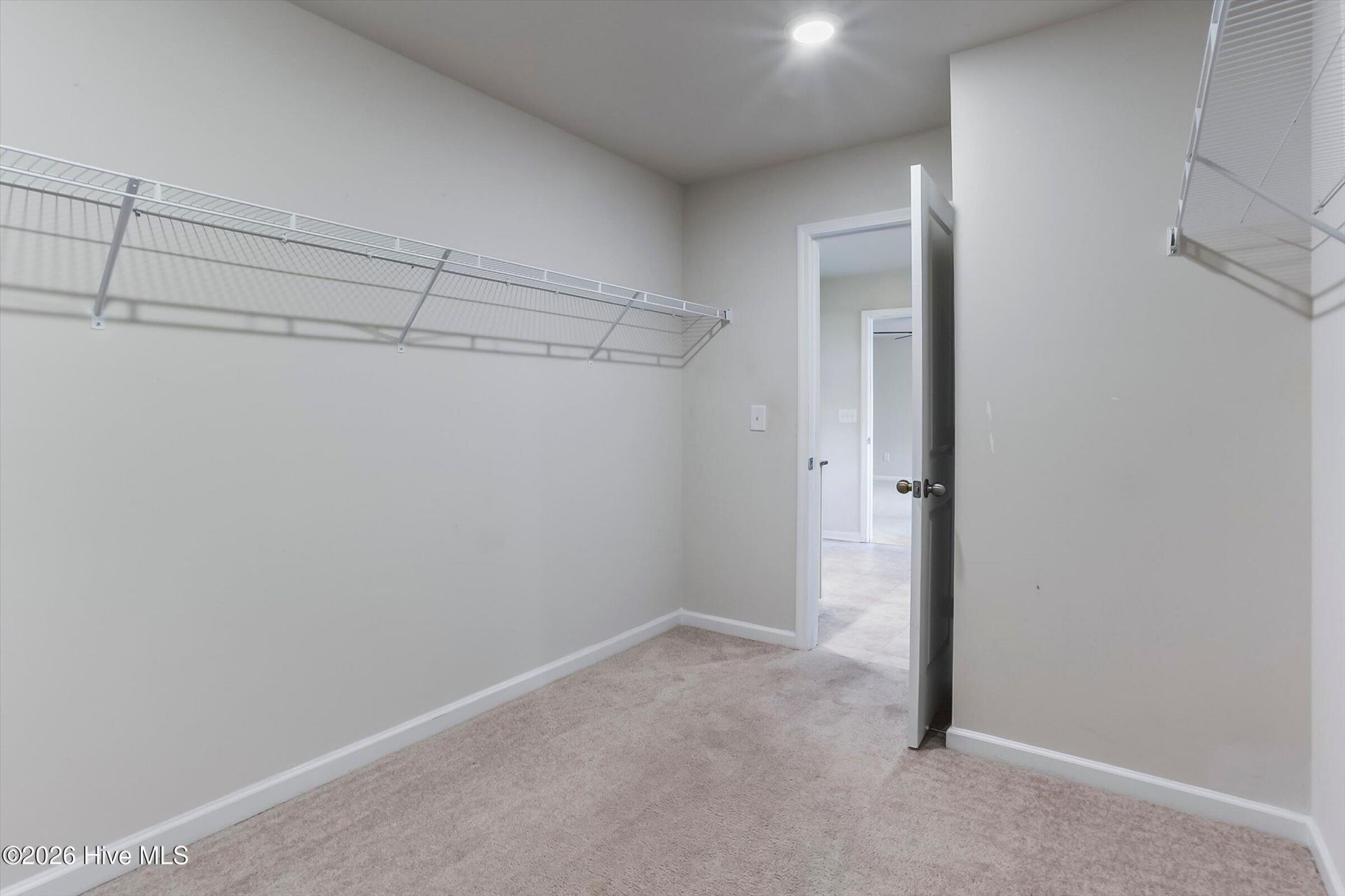 152 Southern Lake Court Photo 41