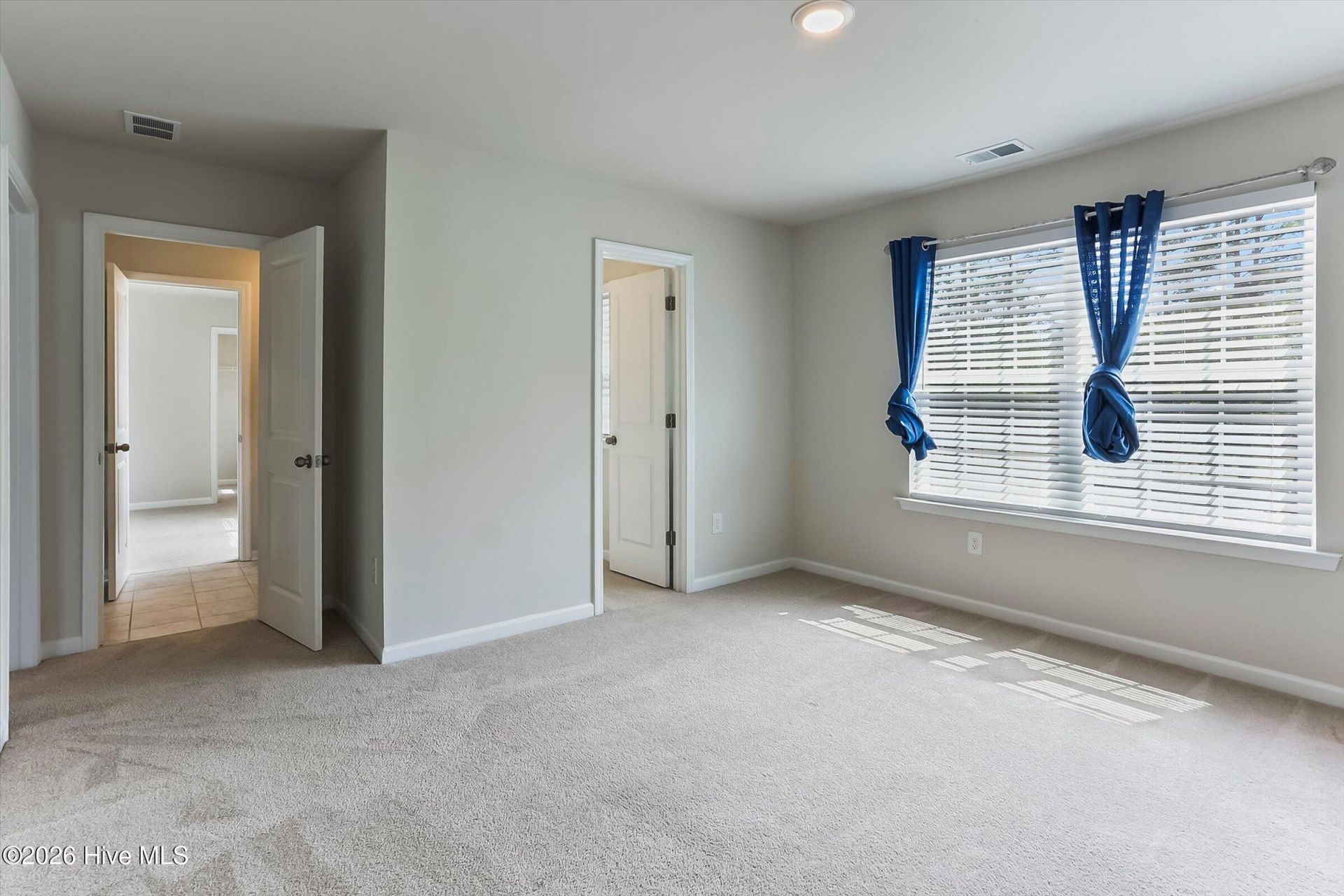 152 Southern Lake Court Photo 44