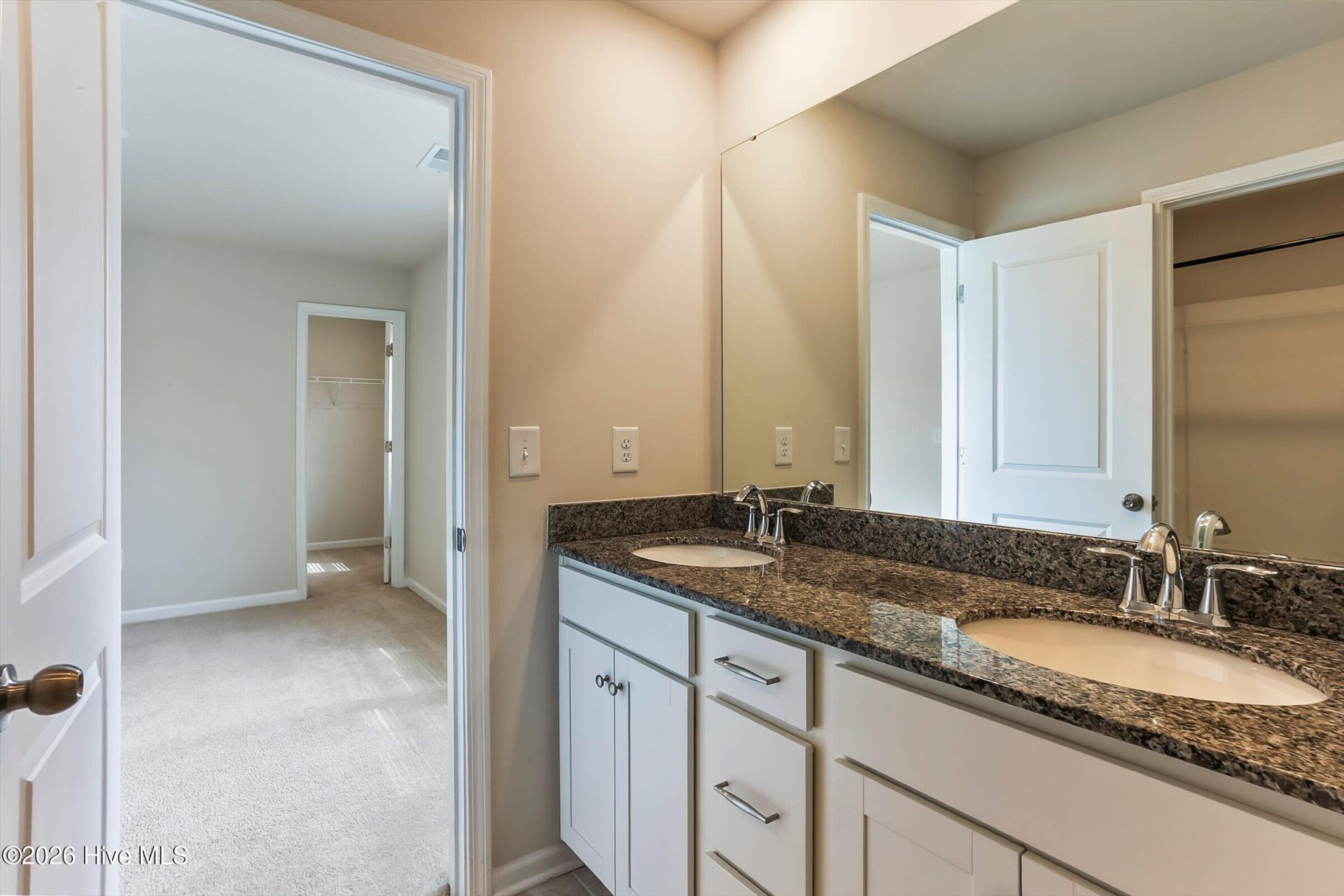 152 Southern Lake Court Photo 46