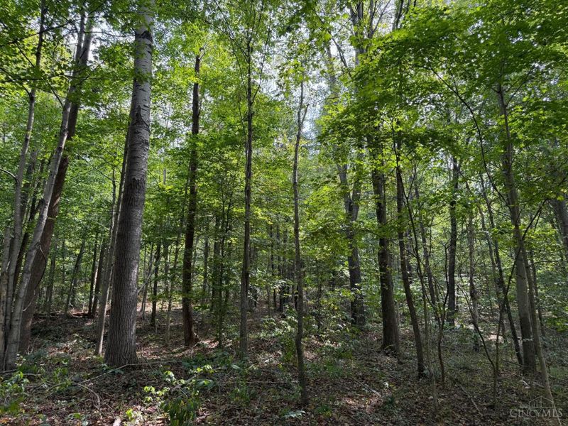 0 Earl Brown, Jefferson Township, OH 45657 Photo 36