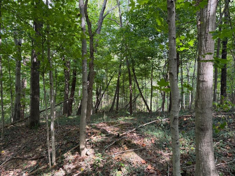 0 Earl Brown, Jefferson Township, OH 45657 Photo 37