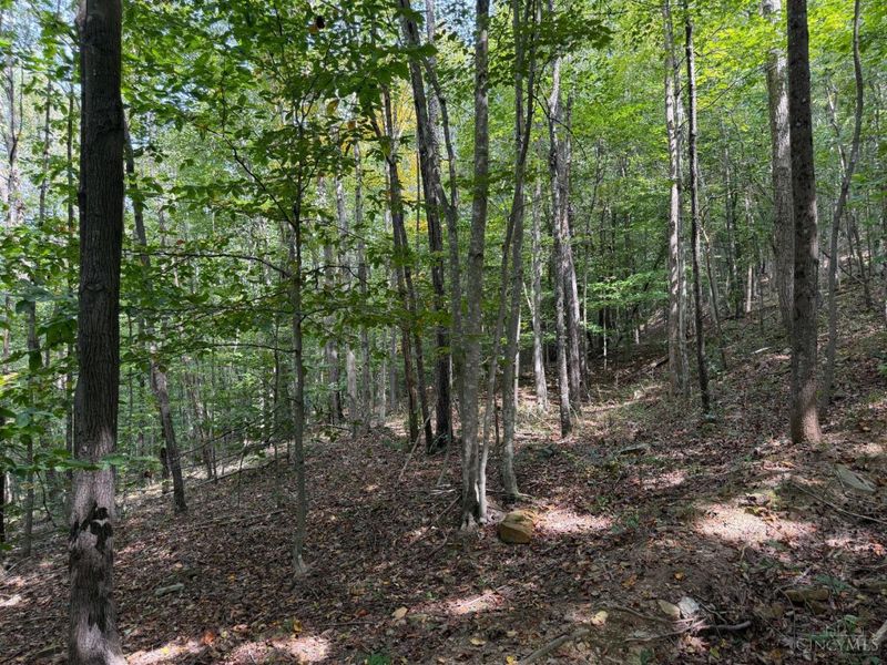 0 Earl Brown, Jefferson Township, OH 45657 Photo 5