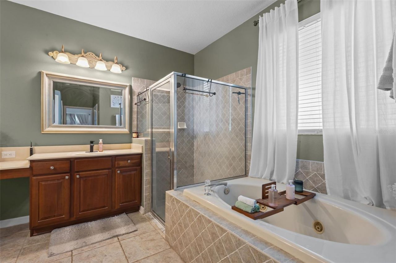 7729 Arelli Drive , Trinity, FL 34655 Photo