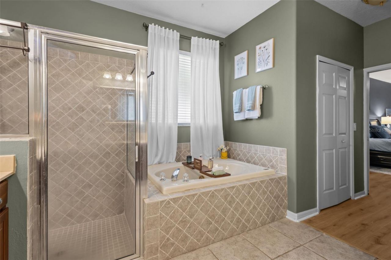 7729 Arelli Drive , Trinity, FL 34655 Photo