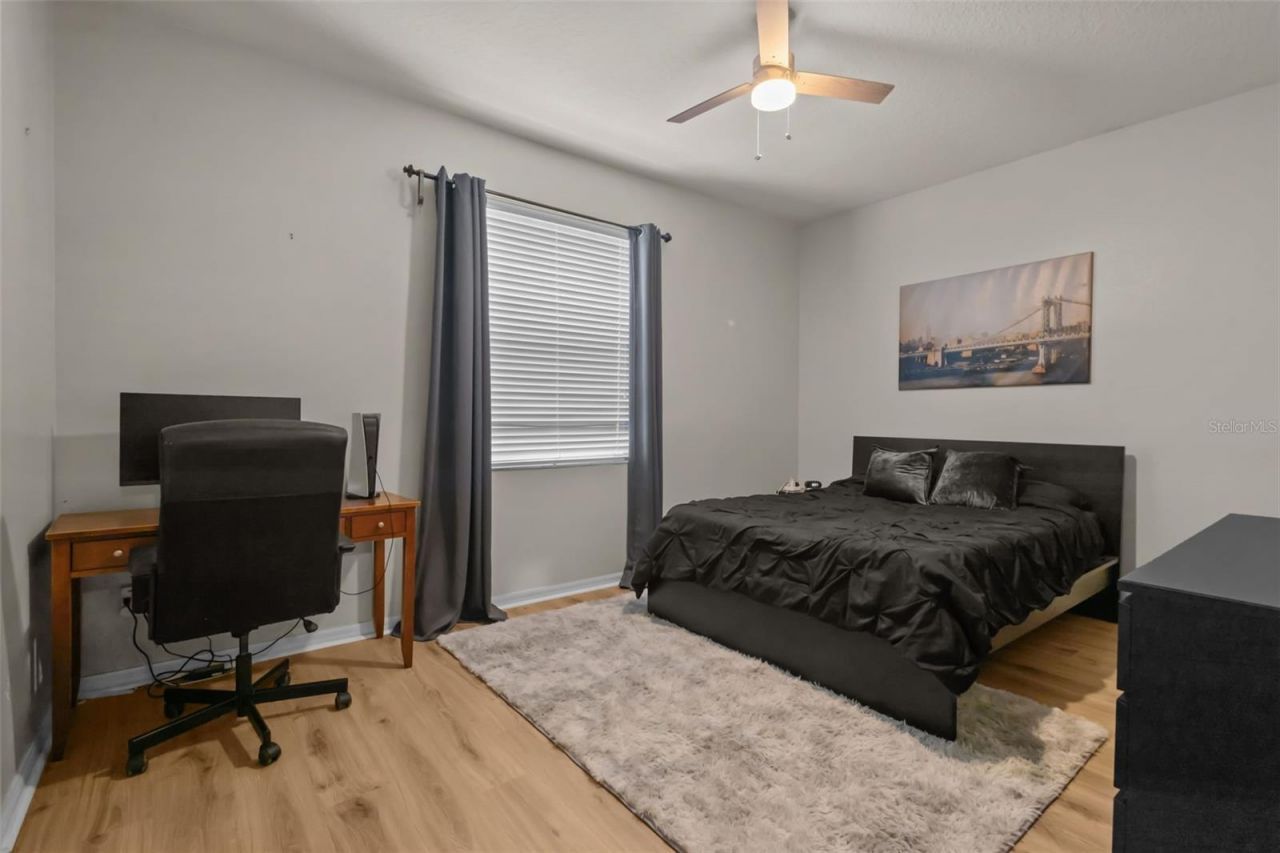 7729 Arelli Drive , Trinity, FL 34655 Photo