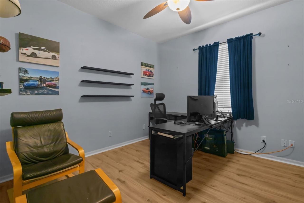 7729 Arelli Drive , Trinity, FL 34655 Photo