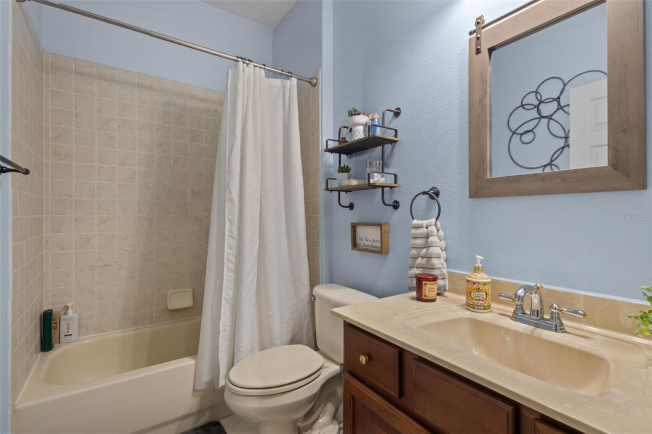 7729 Arelli Drive , Trinity, FL 34655 Photo