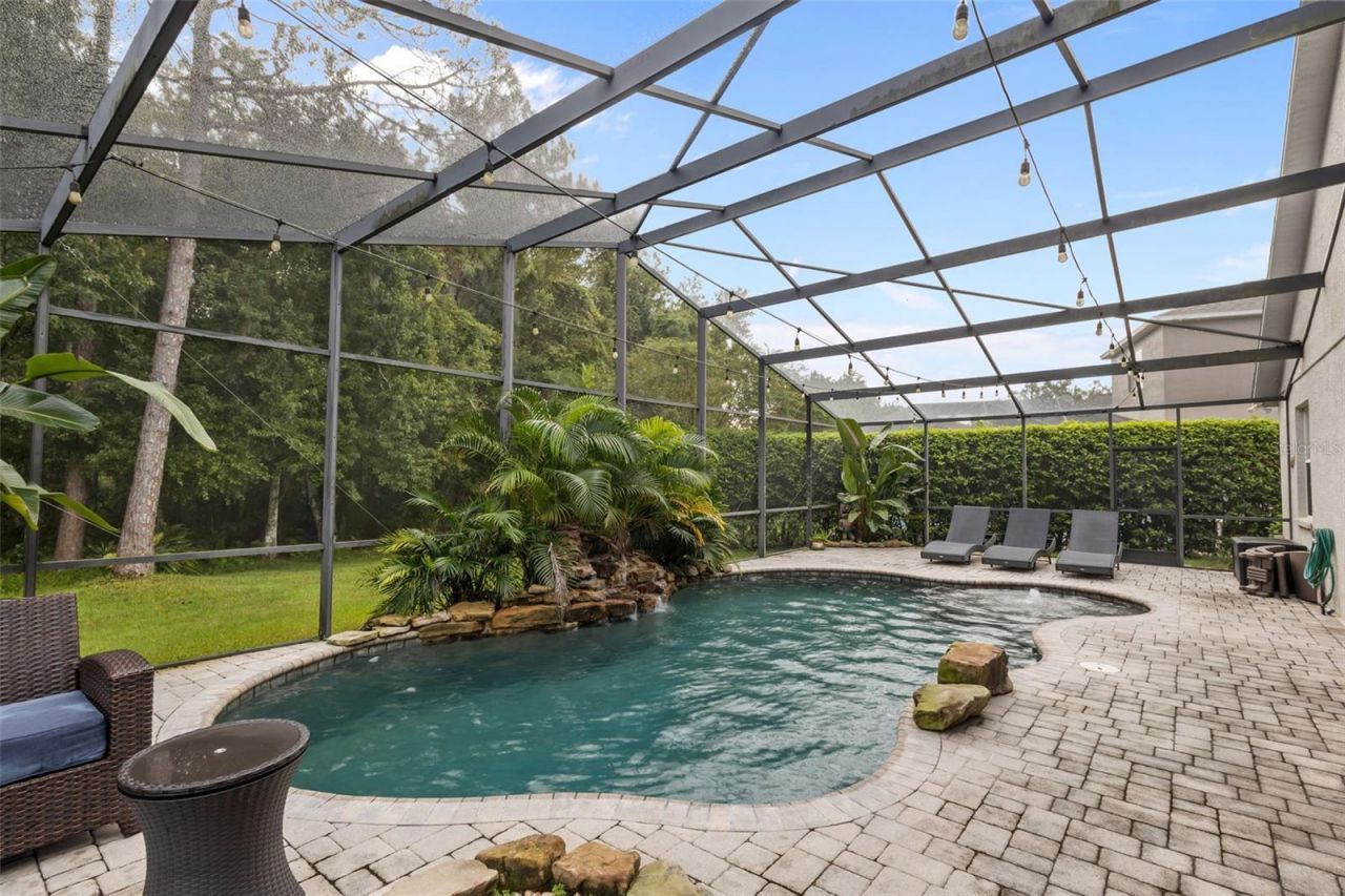 7729 Arelli Drive , Trinity, FL 34655 Photo