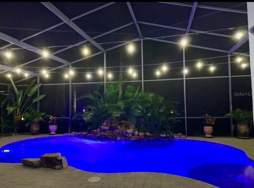 7729 Arelli Drive , Trinity, FL 34655 Photo