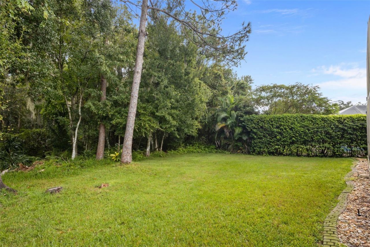 7729 Arelli Drive , Trinity, FL 34655 Photo