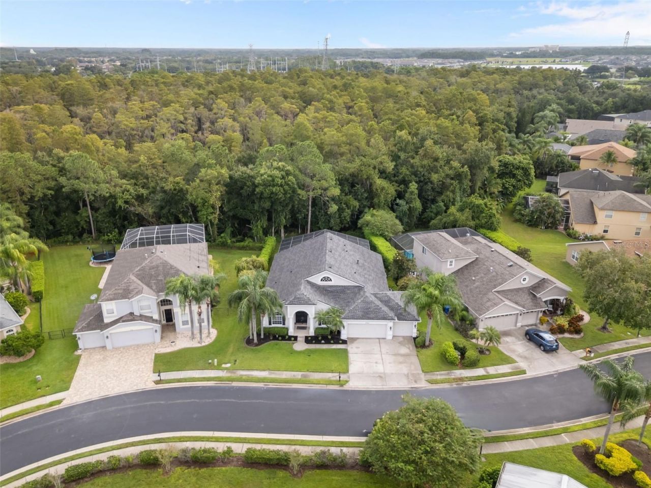 7729 Arelli Drive , Trinity, FL 34655 Photo