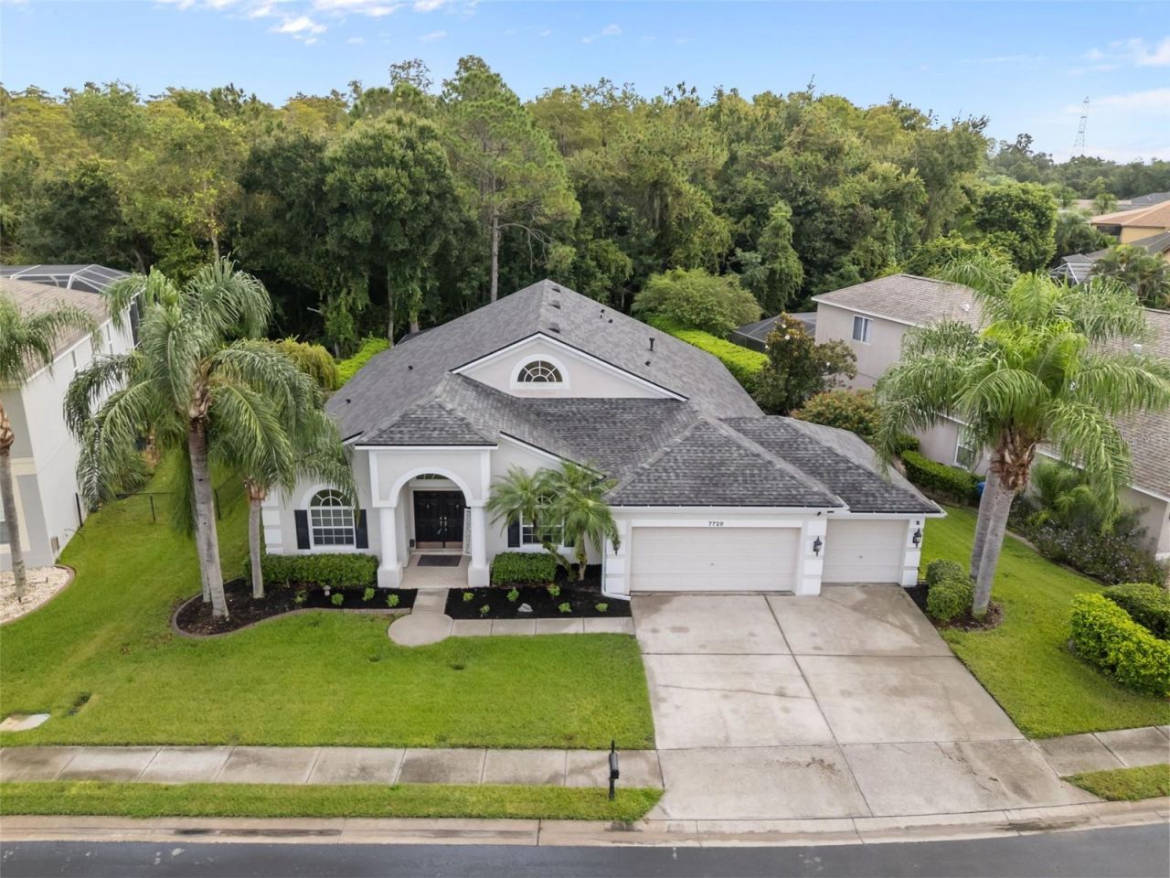 7729 Arelli Drive , Trinity, FL 34655 Photo