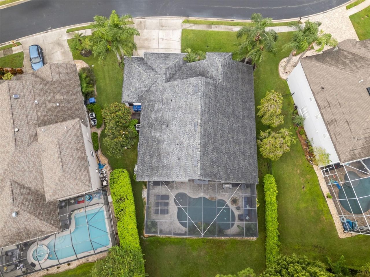 7729 Arelli Drive , Trinity, FL 34655 Photo