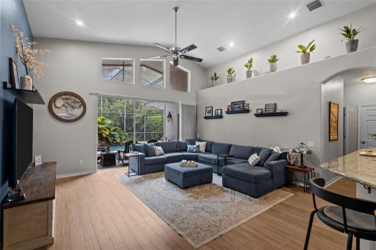 7729 Arelli Drive , Trinity, FL 34655 Photo