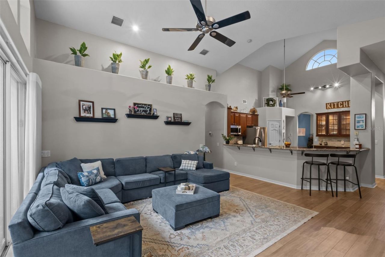 7729 Arelli Drive , Trinity, FL 34655 Photo