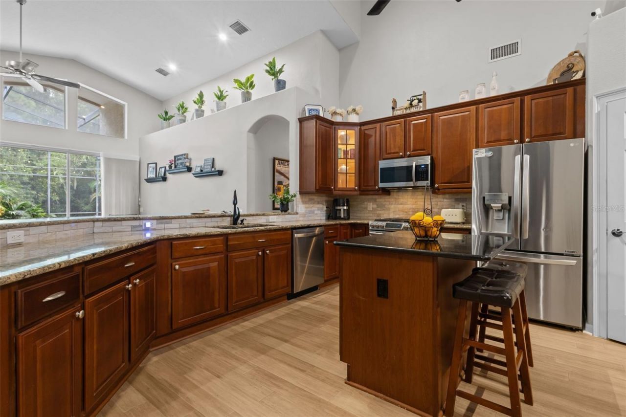 7729 Arelli Drive , Trinity, FL 34655 Photo