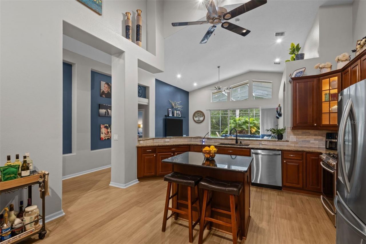 7729 Arelli Drive , Trinity, FL 34655 Photo