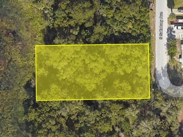 916 S SALISBURY AVENUE , DELAND, FL 32720