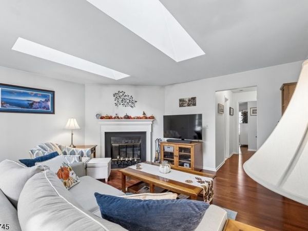 250 Nuthatch Ct, Readington, NJ 08887