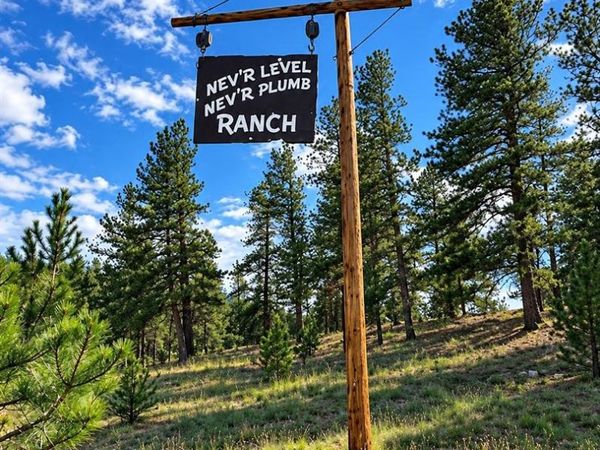 TBD Trail Creek Road, Florissant, CO 80816