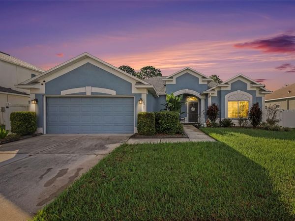 10905 HOFFNER EDGE DRIVE , RIVERVIEW, FL 33579