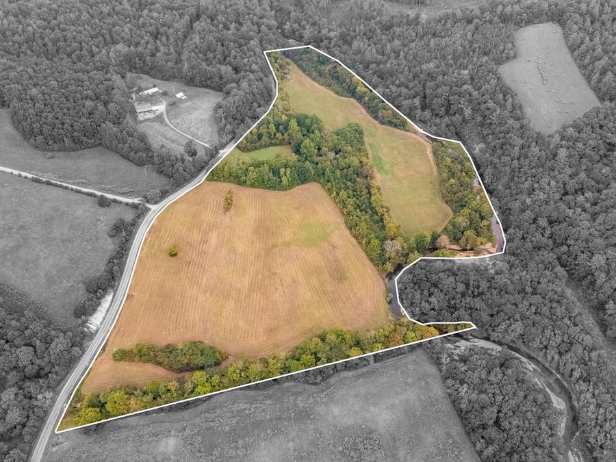 Property Image 19