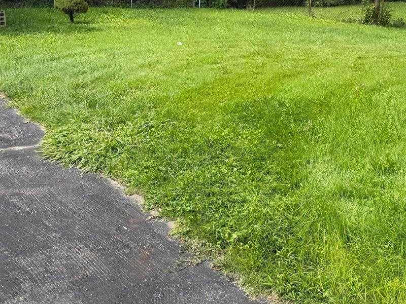 2273 Ferris Road, Columbus, OH 43224 Photo 6