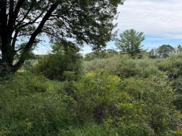 0 OLD ORCHARD LANE , ALLPORT, PA 16821