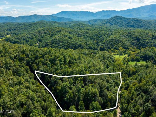 0 Yellow Breeches Rd, Cosby, TN 37722