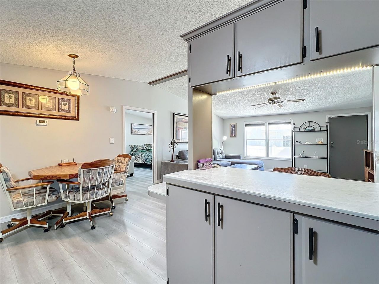 13426 Palm Drive , Astatula, FL 34705 Photo