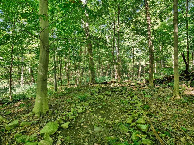 6218 Harlem Road, Westerville, OH 43082 Photo 100