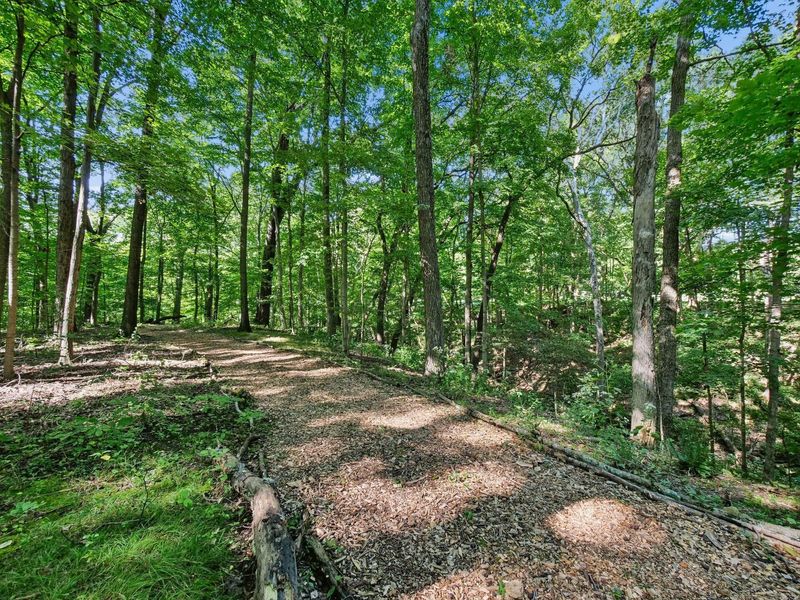 6218 Harlem Road, Westerville, OH 43082 Photo 101