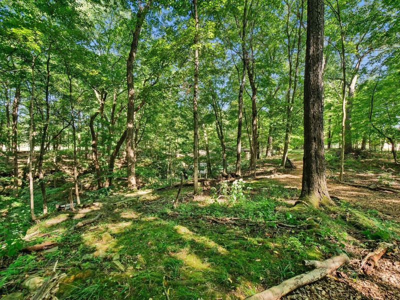 6218 Harlem Road, Westerville, OH 43082 Photo 102