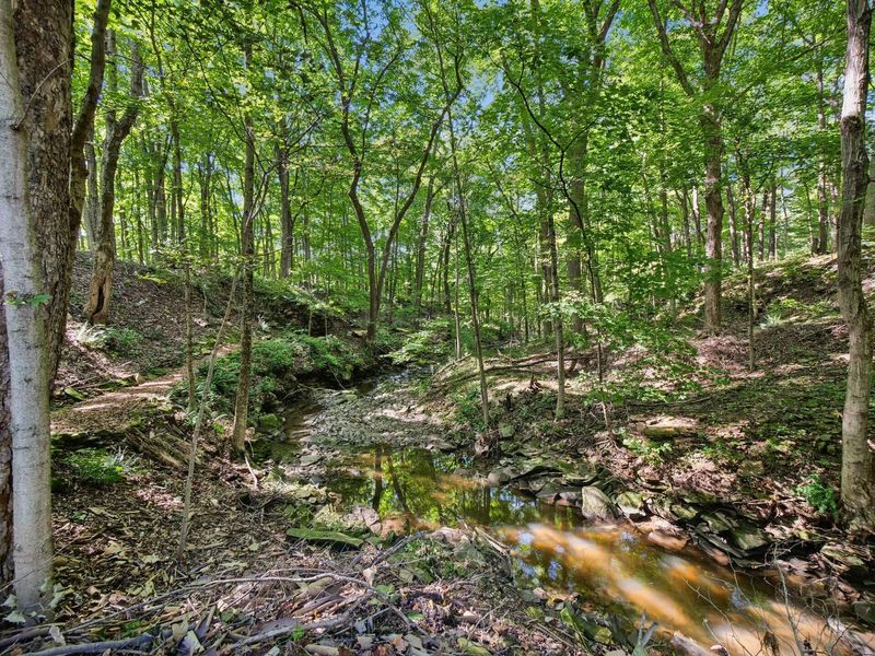 6218 Harlem Road, Westerville, OH 43082 Photo 86