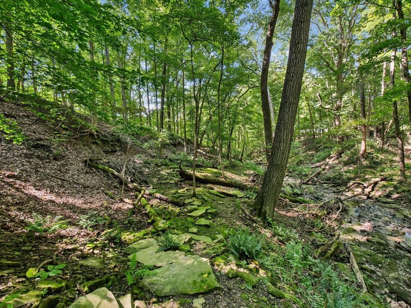 6218 Harlem Road, Westerville, OH 43082 Photo 94