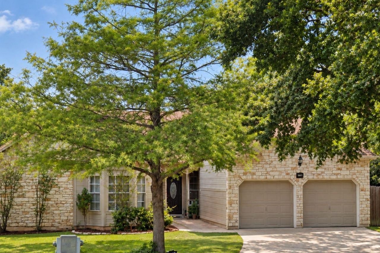 705 Sapling Cv, Cedar Park, TX 78613 Main Photo